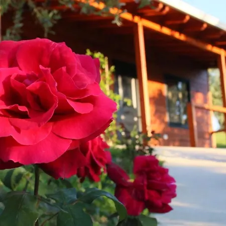 Alloggio per agriturismo Agroturizem Bylis *