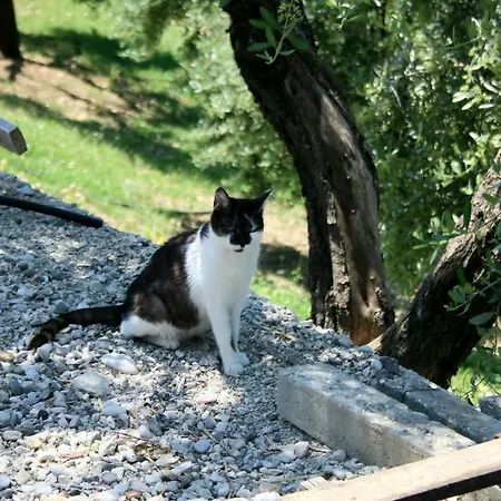 Agroturizem Bylis Alloggio per agriturismo