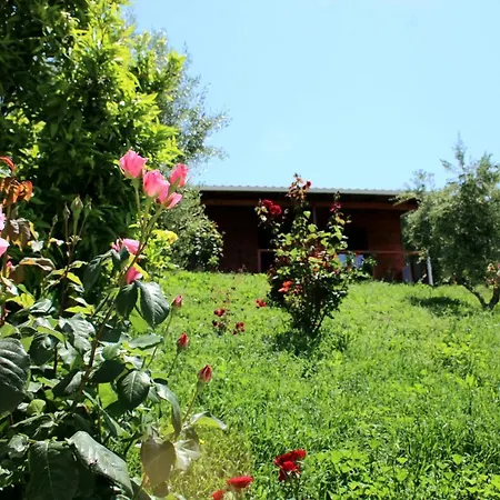 Agroturizem Bylis Resort *