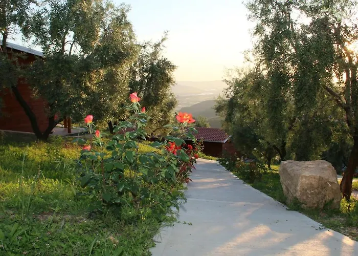 Semesteranläggning (resort) Agroturizem Bylis