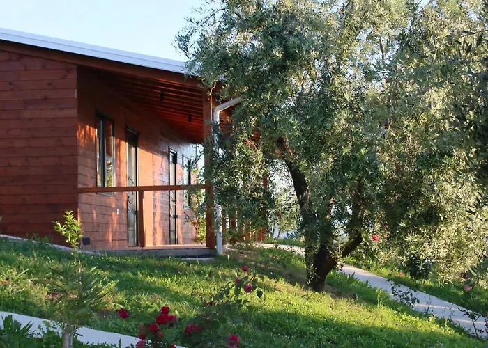 Semesteranläggning (resort) Agroturizem Bylis Hekal