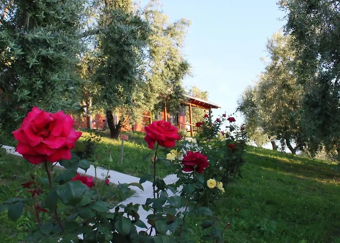 Semesteranläggning (resort) Agroturizem Bylis