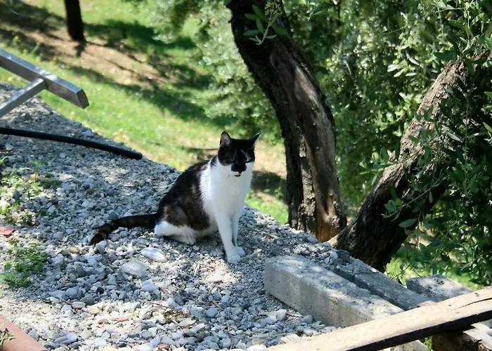Agroturizem Bylis Semesteranläggning (resort)