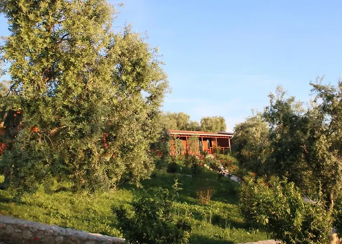 Agroturizem Bylis Semesteranläggning (resort) Hekal