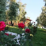 Resort Agroturizem Bylis