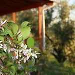 Agroturizem Bylis Resort *