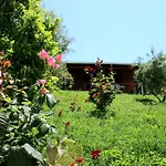 Agroturizem Bylis Resort *