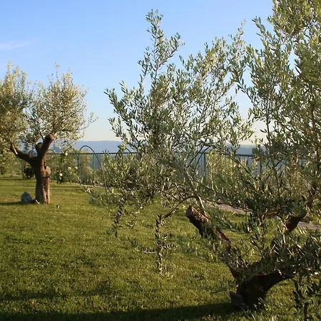 Agroturizem Bylis Campsite