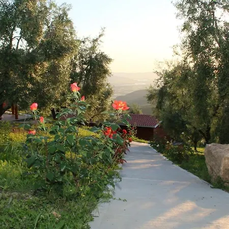 Campsite Agroturizem Bylis