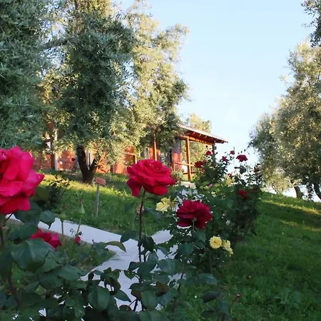 Campsite Agroturizem Bylis
