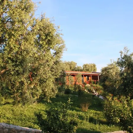 Agroturizem Bylis Station touristique Hekal