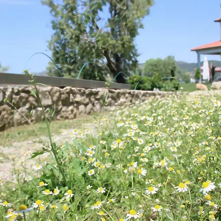 Campsite Agroturizem Bylis Hekal