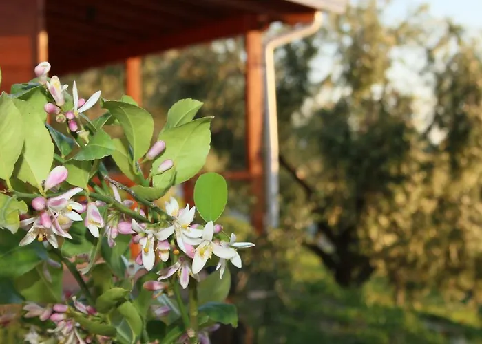 Agroturizem Bylis Resort *