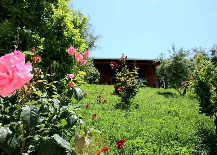 Agroturizem Bylis Resort *