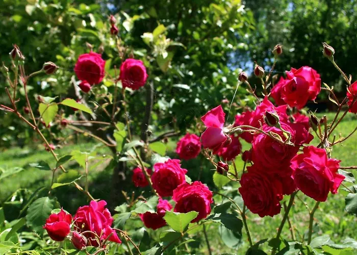 Agroturizem Bylis * Hekal